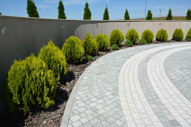 Best Driveway Pavers Cost  in Cohoe, AK